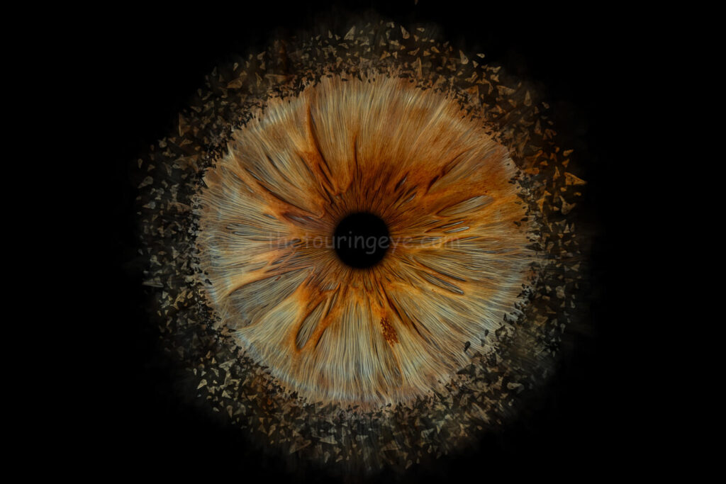 A highly detailed hazel eye iris exploding. Iris photography. Eye photography. The Touring Eye. Eye art. Eye artwork.
