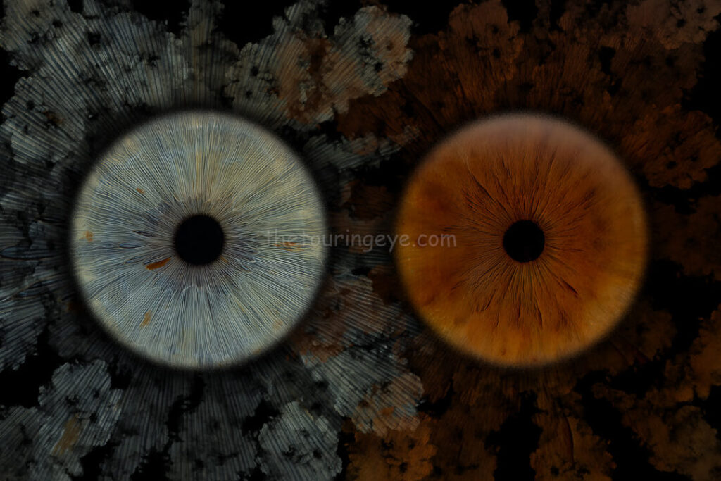 A blue and a brown eye iris artwork showing the two irises surrounded by smoke. Iris photography UK. Eye photography UK. Eye art. Eye artwork. Iris art. The Touring Eye