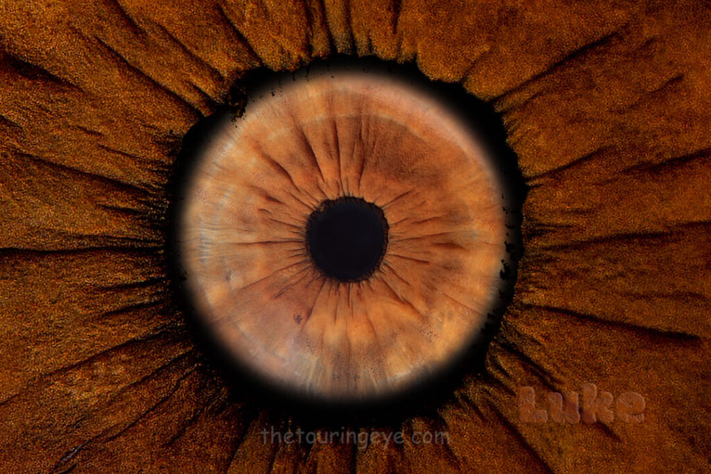 A brown eye iris hand edited to portray an eye in eye effect. Eye art. Iris art. Hand edited artwork. Eye photography. Iris photography. The Touring Eye.